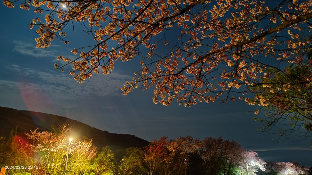 2/28夜衝陽明山趴趴走追雲趣_2441714