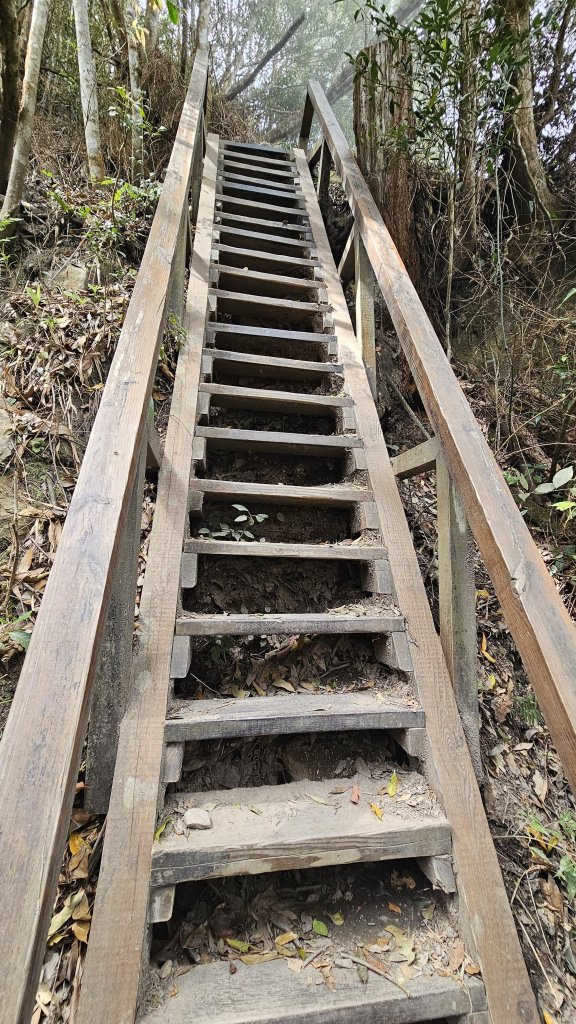 【美美兔走山趣】谷關抓雄-老六白毛_2749952