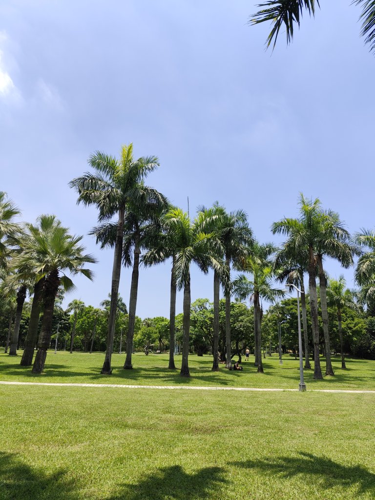 大港墘公園、大安森林公園、大稻埕、天母【走路趣尋寶】【臺北健走趣】_2554273