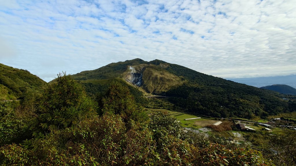 20260125 陽明山前後山健行(無極天元宮~山仔頂步道.向天池.向天山.面天山.二子坪)_2998077