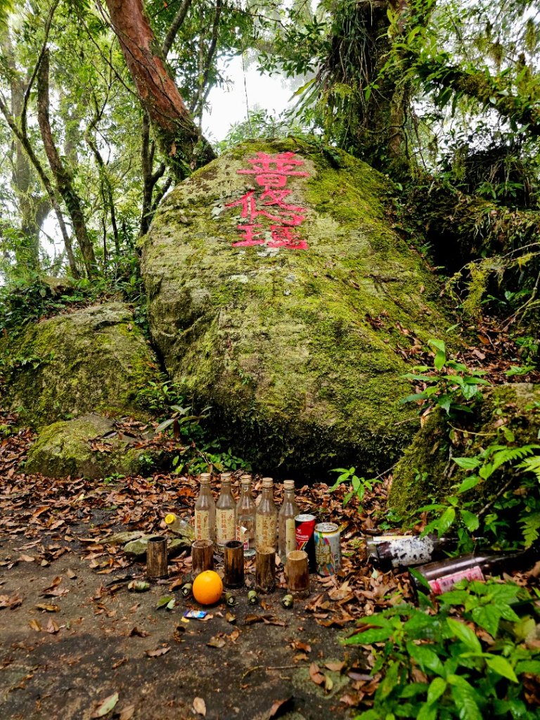 都蘭山-小百岳#93-台東縣東河鄉封面圖