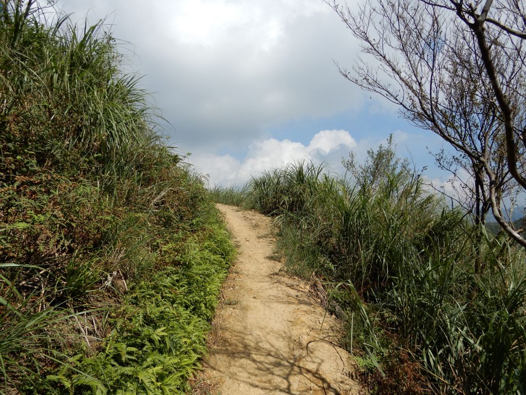 20170812_坪溪古道+太和山_161159