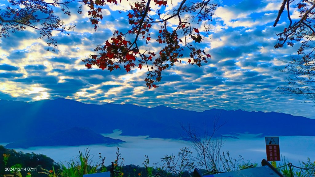 二訪馬拉邦山，解鎖 #琉璃光雲海 #日出雲海  #血月 #斜射光 #楓葉紅了！_2668635