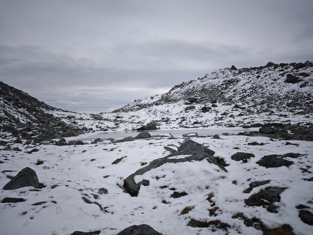 [紐約馬之行-46] 2025_1108 努克環狀步道 3/5_2951395