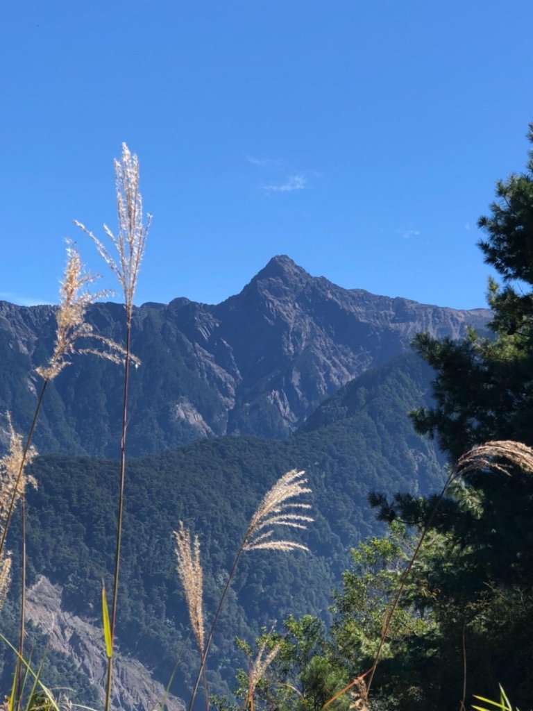 東埔山觀玉山_511145