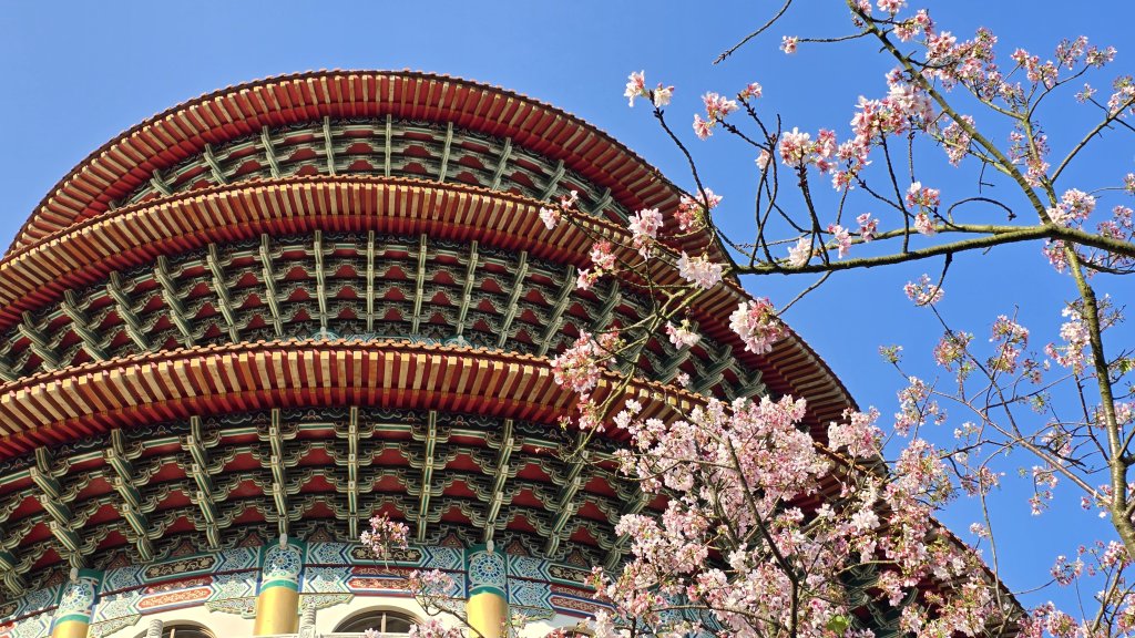 2025竹子湖海芋季美不勝收，最受歡迎的國家公園陽明山國家公園，親子皆宜，適合各式玩家封面圖