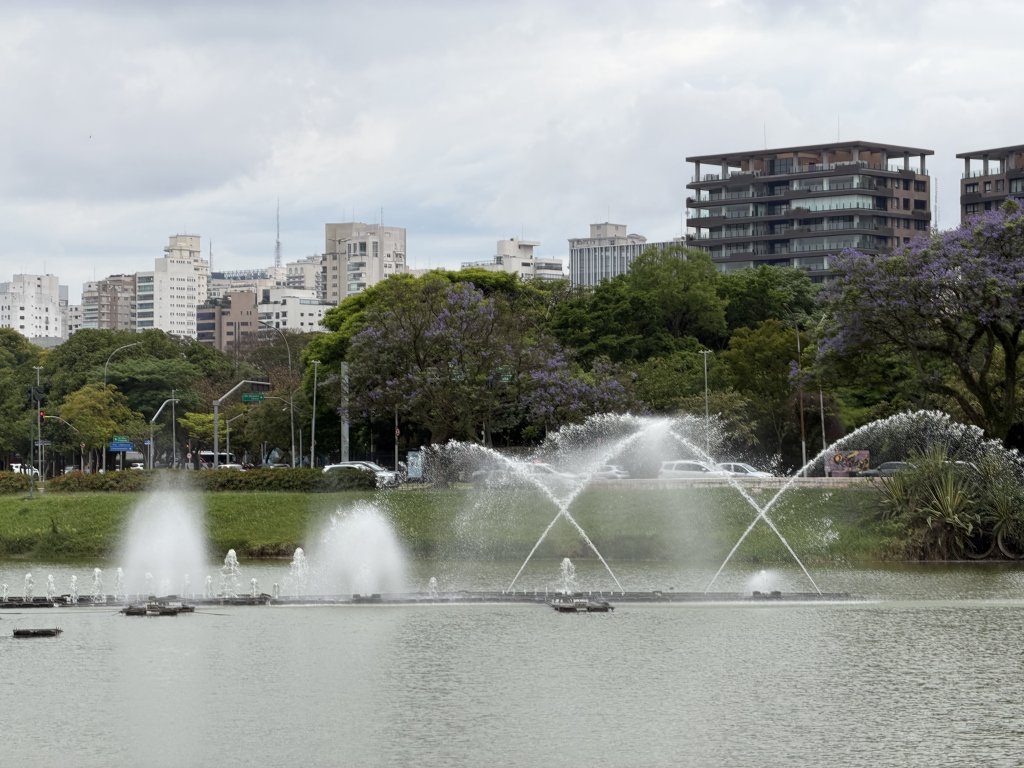 [紐約馬之行-67] 2025_1116 伊比拉布埃拉公園-上_2955094