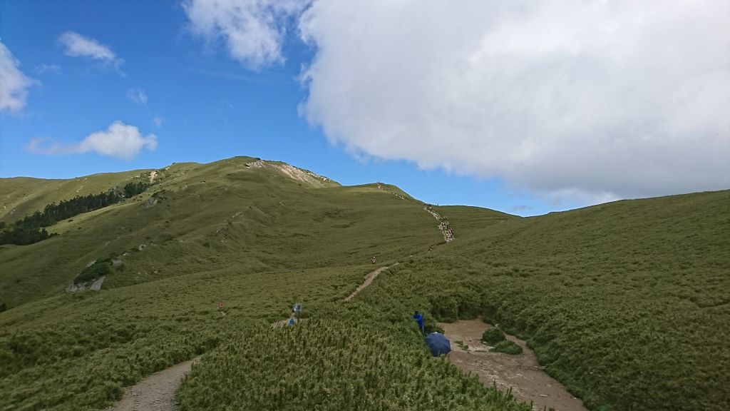 106.06.10~11 合歡北西峰_134899