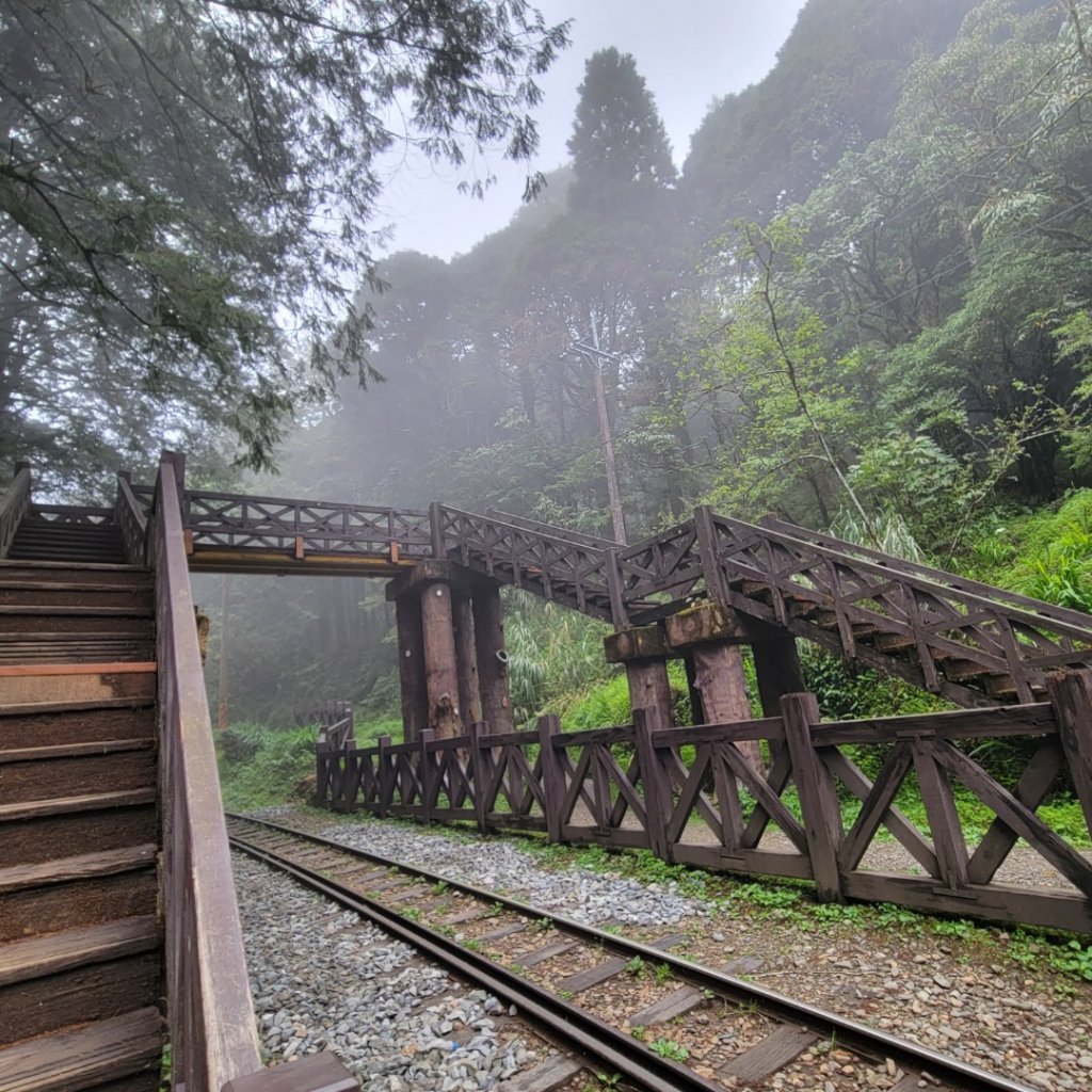 塔山步道(小百岳)_2123291