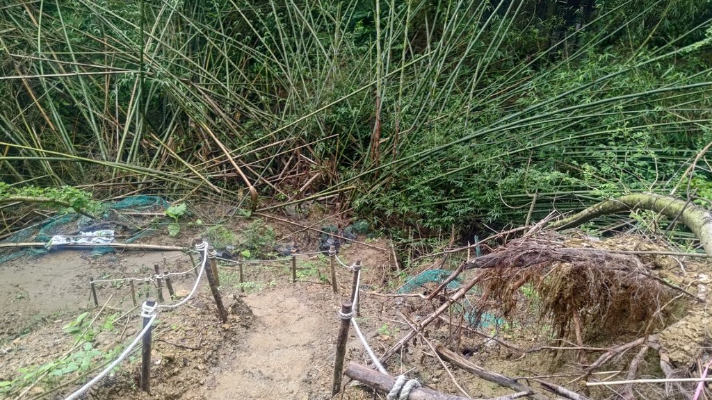 蘭潭後山步道紅毛埤山_2599654