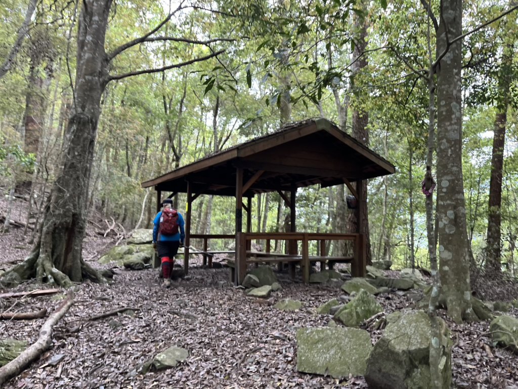 台中 和平 波津加山_2761896