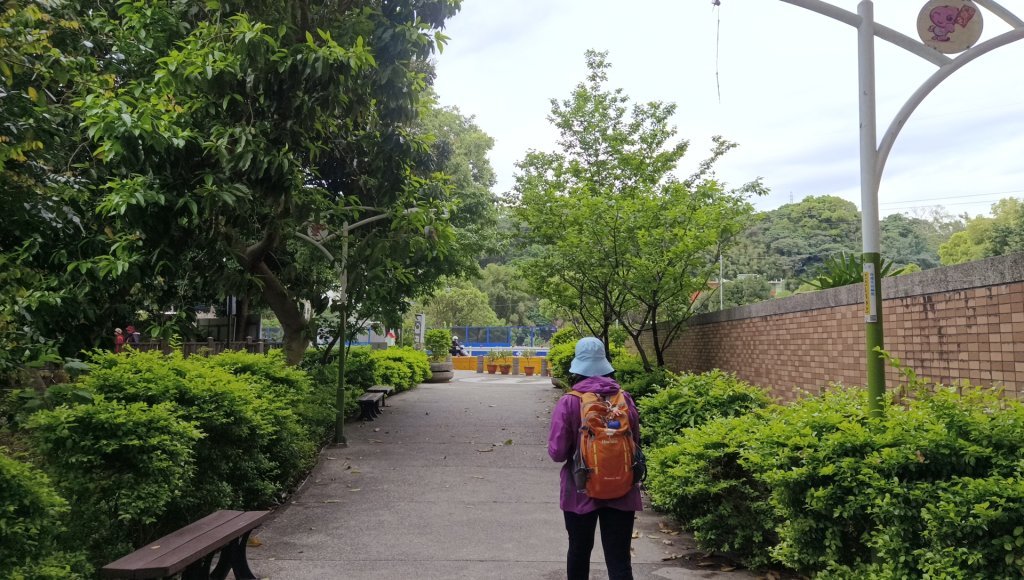 (姨婆趴趴走)第五十集:新北樹林大同山、青龍嶺、大棟山諸峰連走_2751517