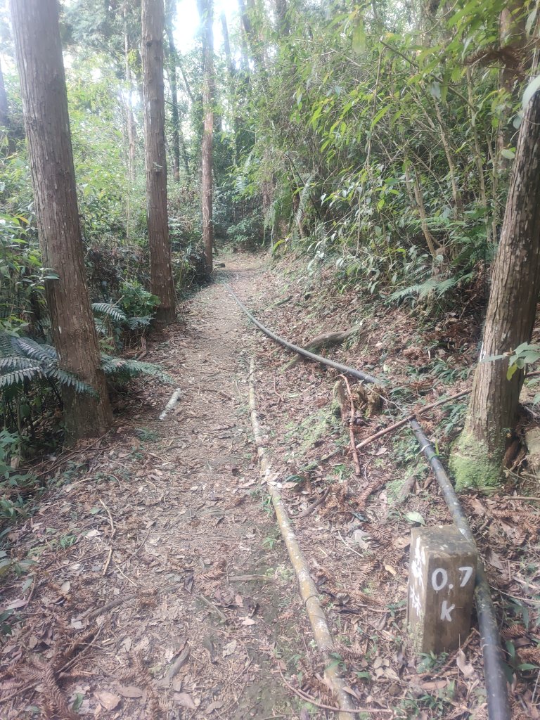惠蓀湯公啤&小嵐_2697830