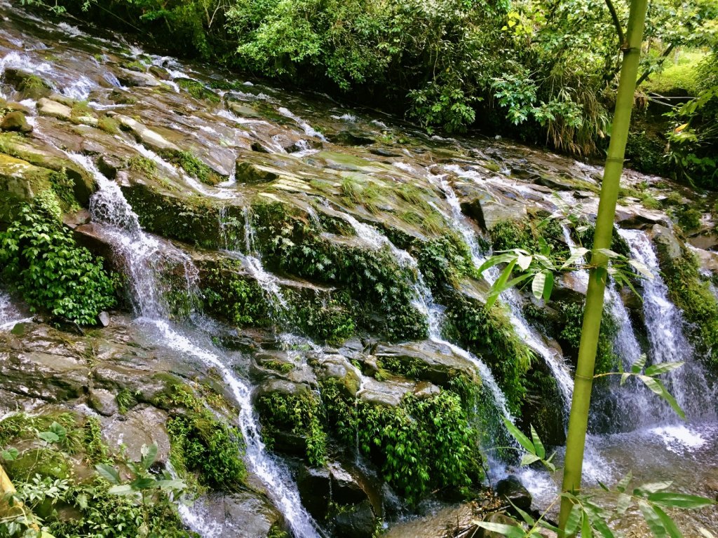 嘉義涼夏新亮點：太興飛瀑步道_598310