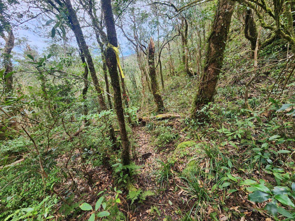 20250302樂佩山_2754743