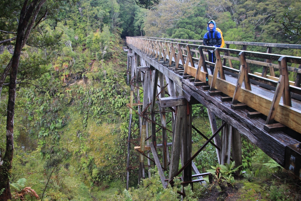 Hump Ridge Track_10436