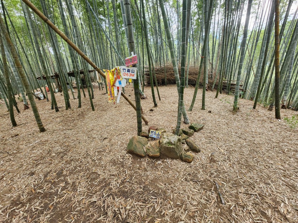 20251228溪頭山龍鳳山嶺頭山O型_2992369