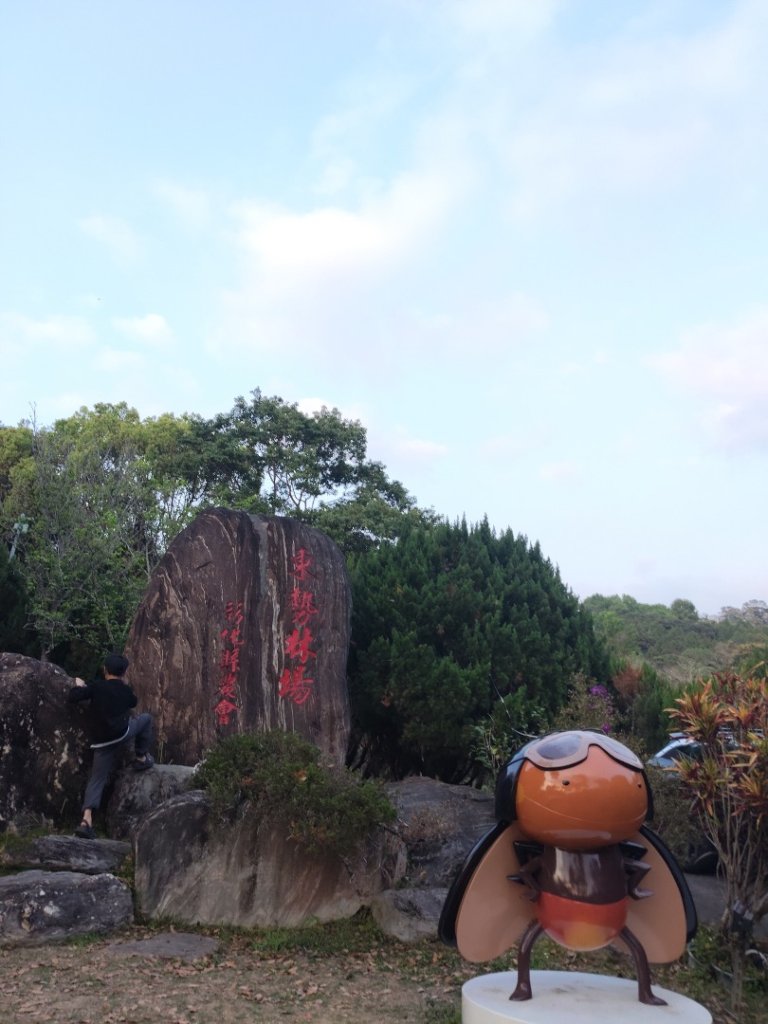 東勢林場森林浴場步道封面圖