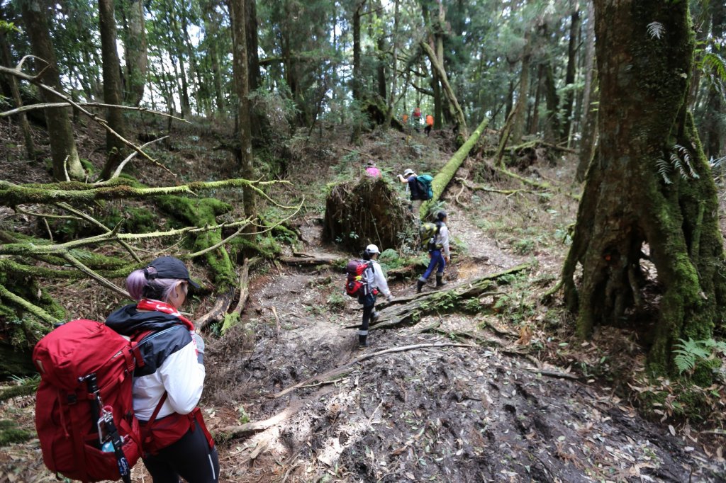 水樣森林 第一次在山裡過夜_659015