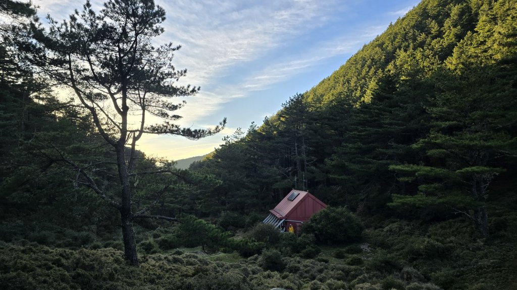 20241124-1130 南二段10座百岳_2665478