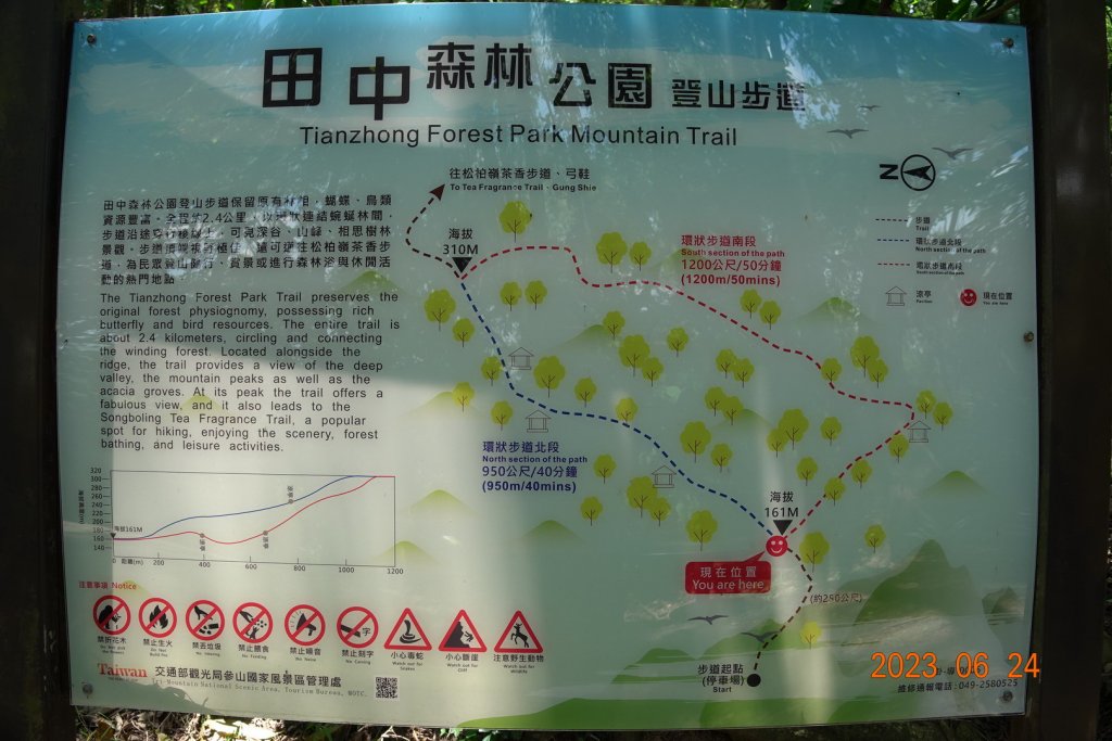 彰化 田中 田中森林登山步道封面圖