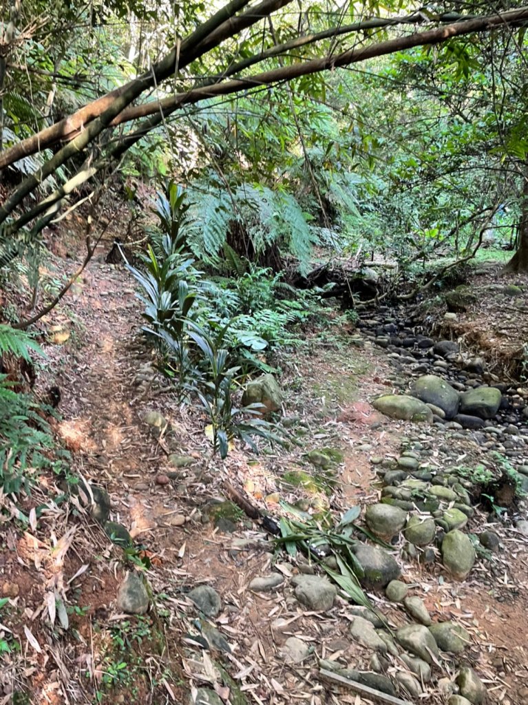 老公崎步道_1841587