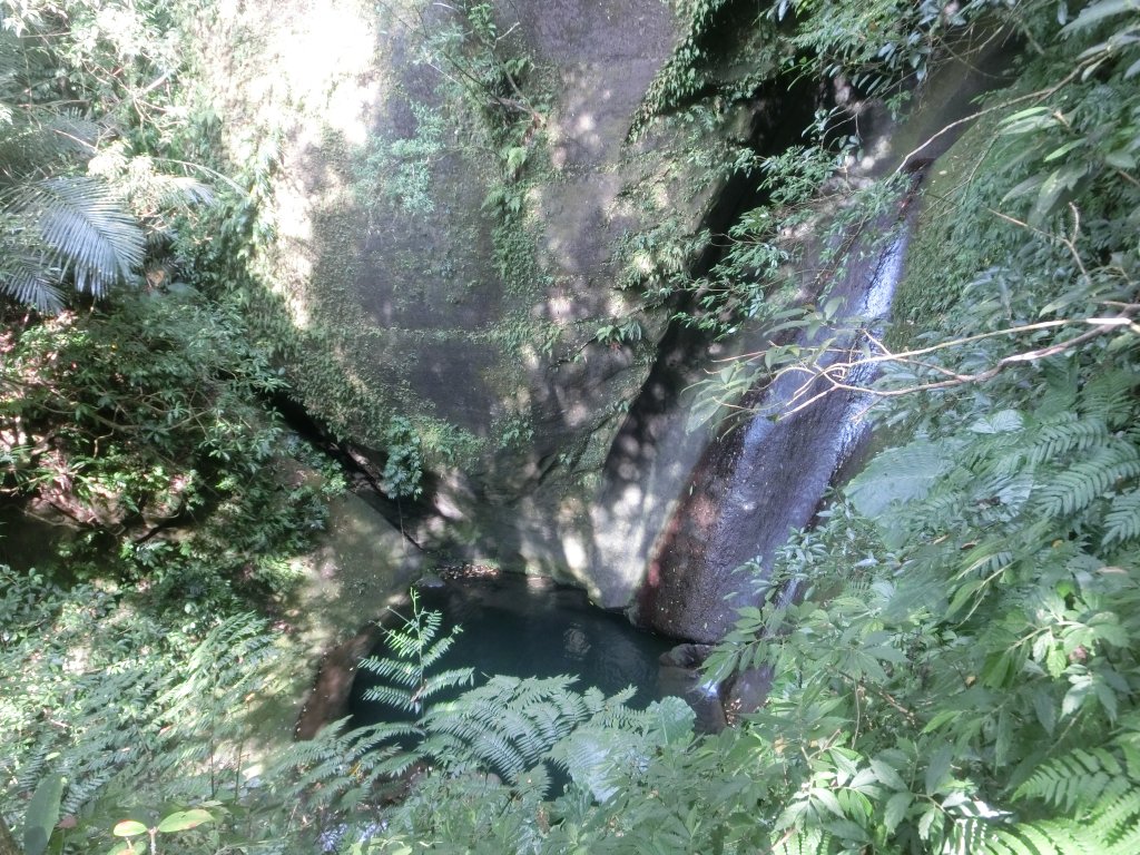 蝙蝠洞．觀音洞步道_733180