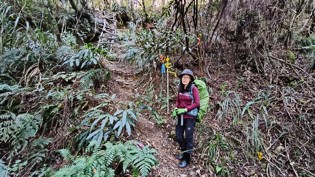 豐杉縱走~夜宿千人洞1131130~1201_2666582