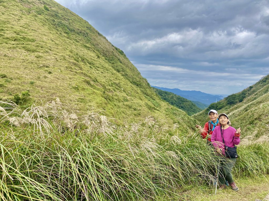 草嶺古道賞芒趣    2021/11/15_1518425