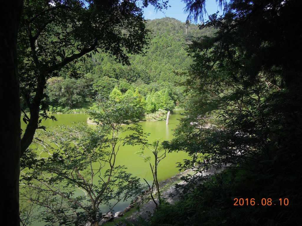 20160809-11_馬告森林知性之旅_873290