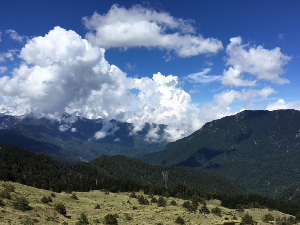 順道石門山，轉身望奇萊～_334606