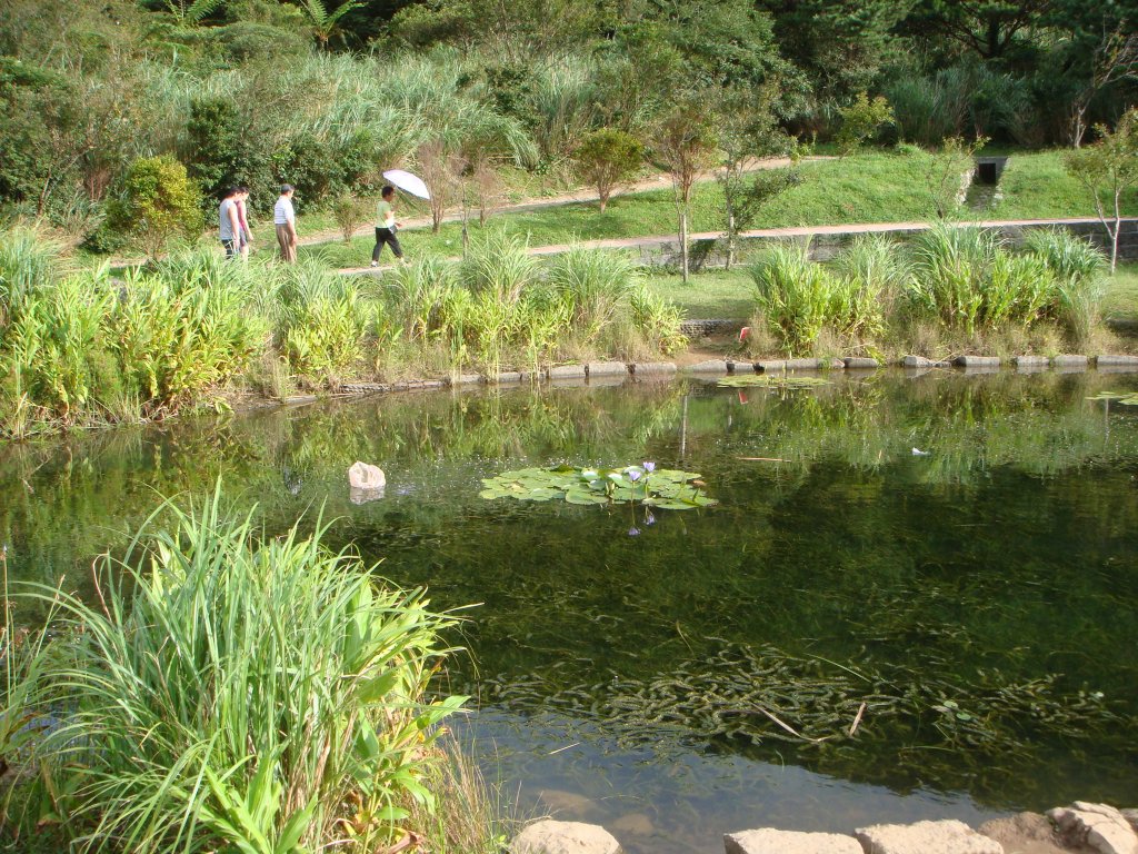 大屯群峰步道(大屯主、南、西峰連走)_1682278