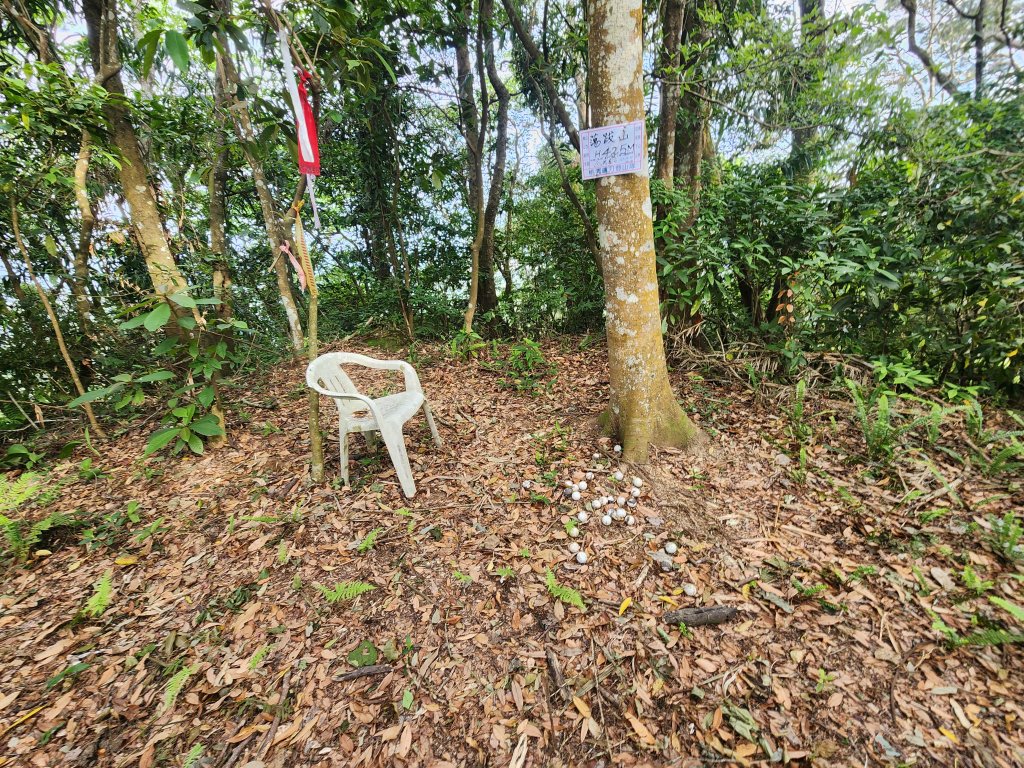 20250419蕩跋山劉家界山老社寮山新富山封面圖