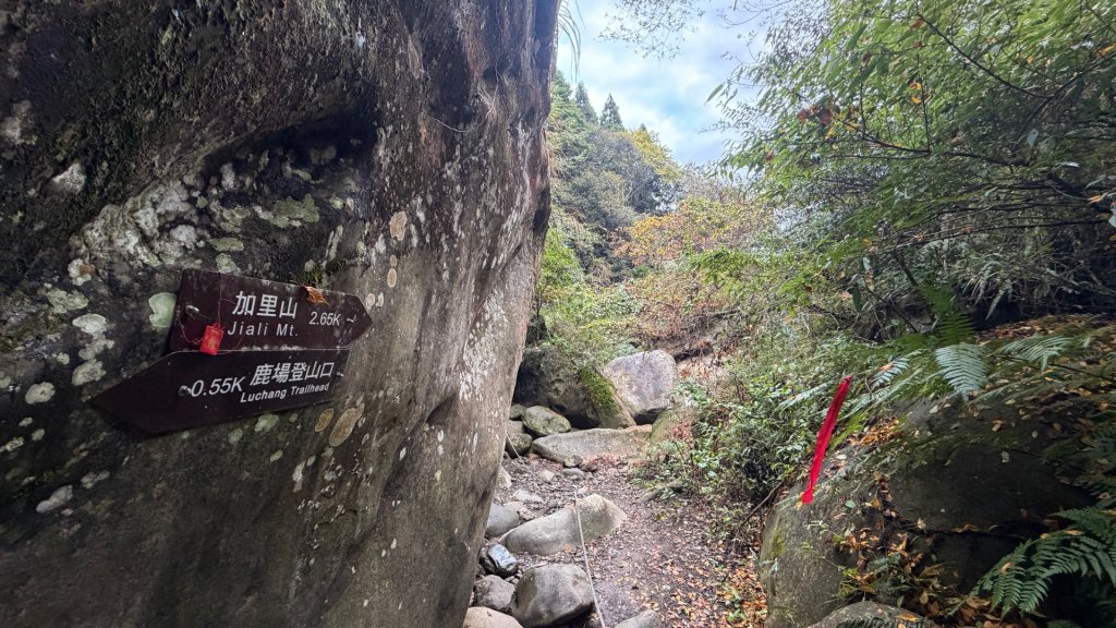 加里山 2025 12/28_2971683