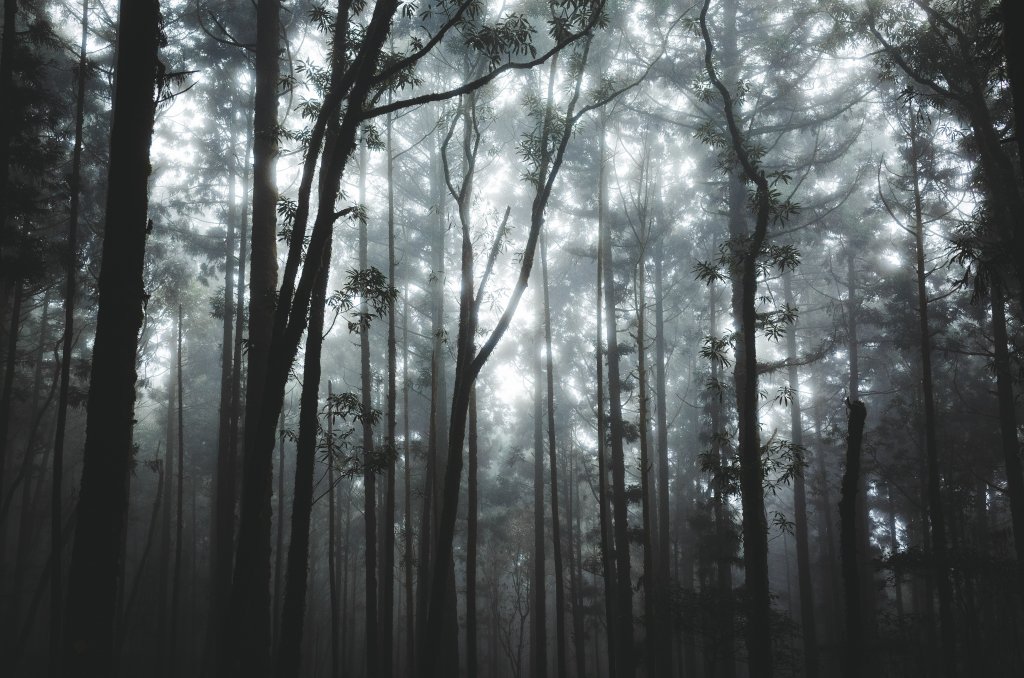 十七歲少女之湖｜松蘿湖包場露營_1408701