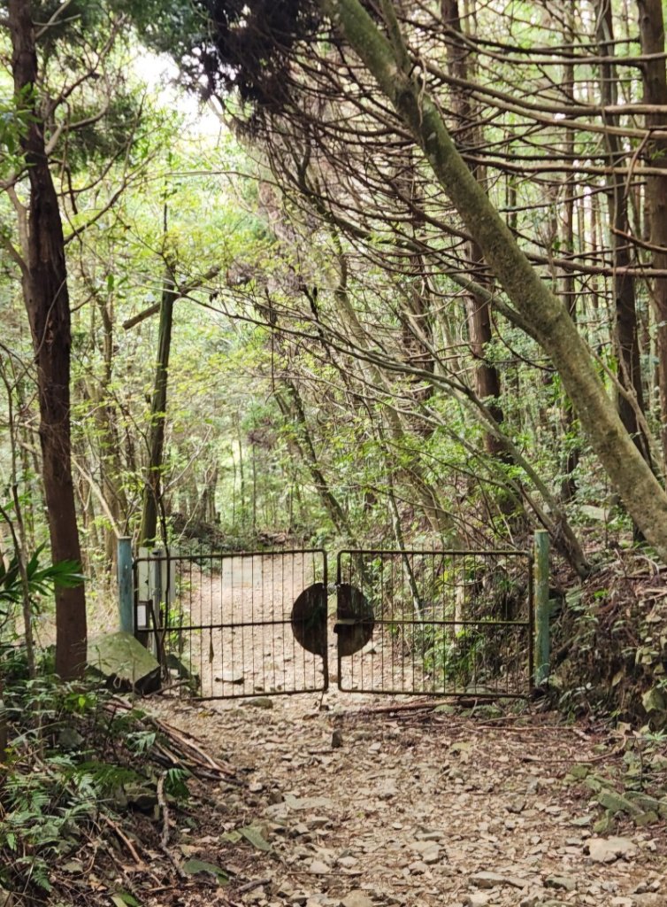 【中級山縱走】最美中級山，鳶嘴西稜縱走（鳶嘴山，醜崠山，長壽山）_2741366