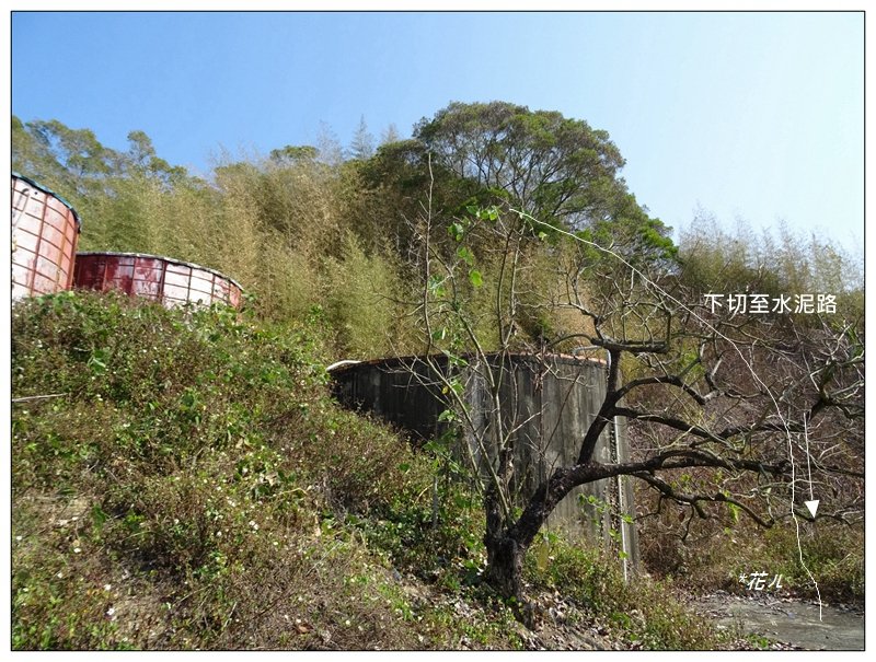 豐原/觀音山O形一圈_1263979