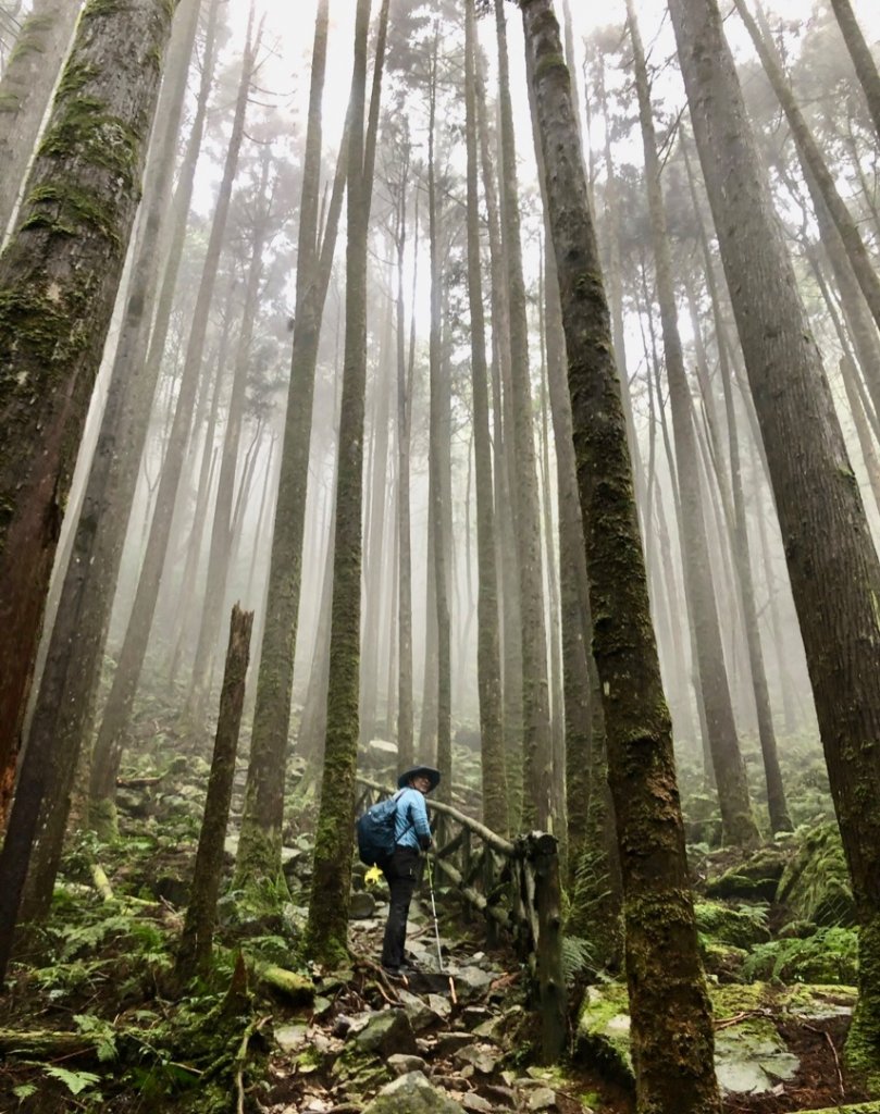 橫嶺山、鳶嘴山O 走_1661027