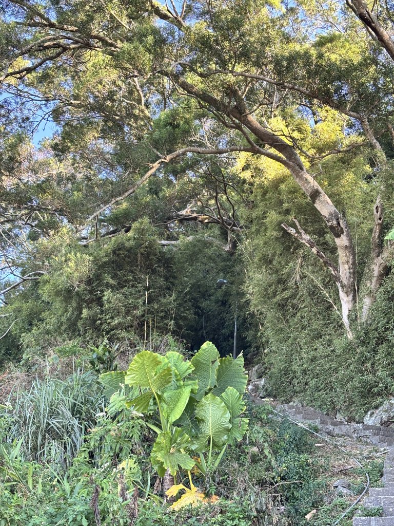 面天山、向天山、向天池_2921018