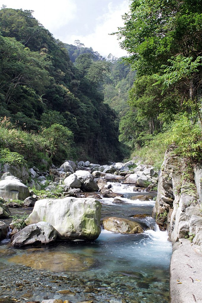 八仙山森林遊樂區_856622