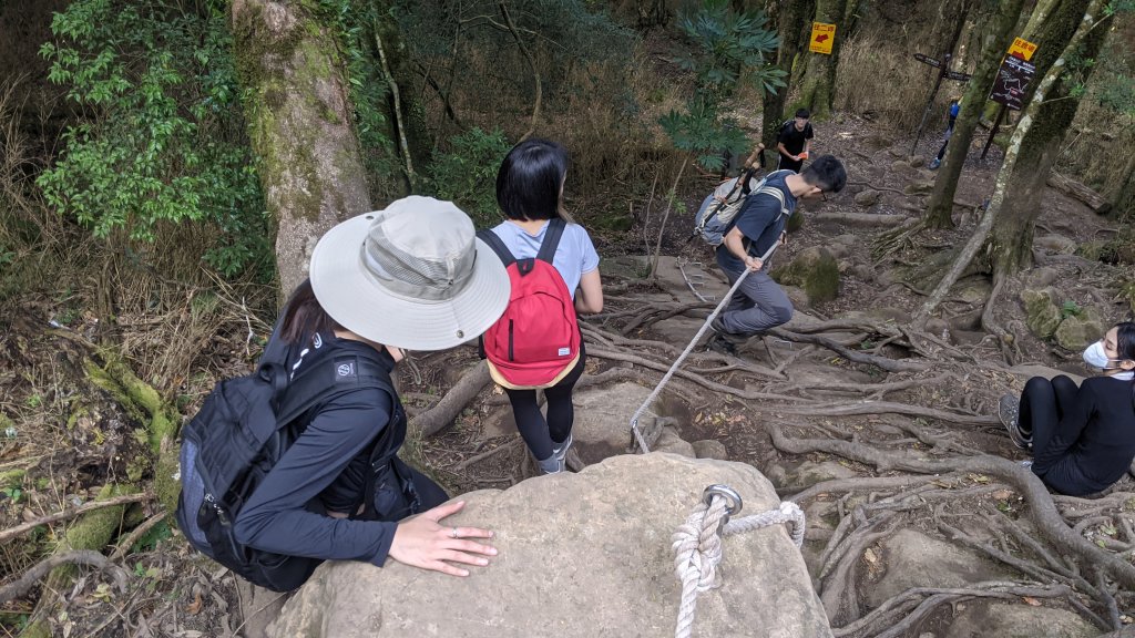 加里山步道_1512817