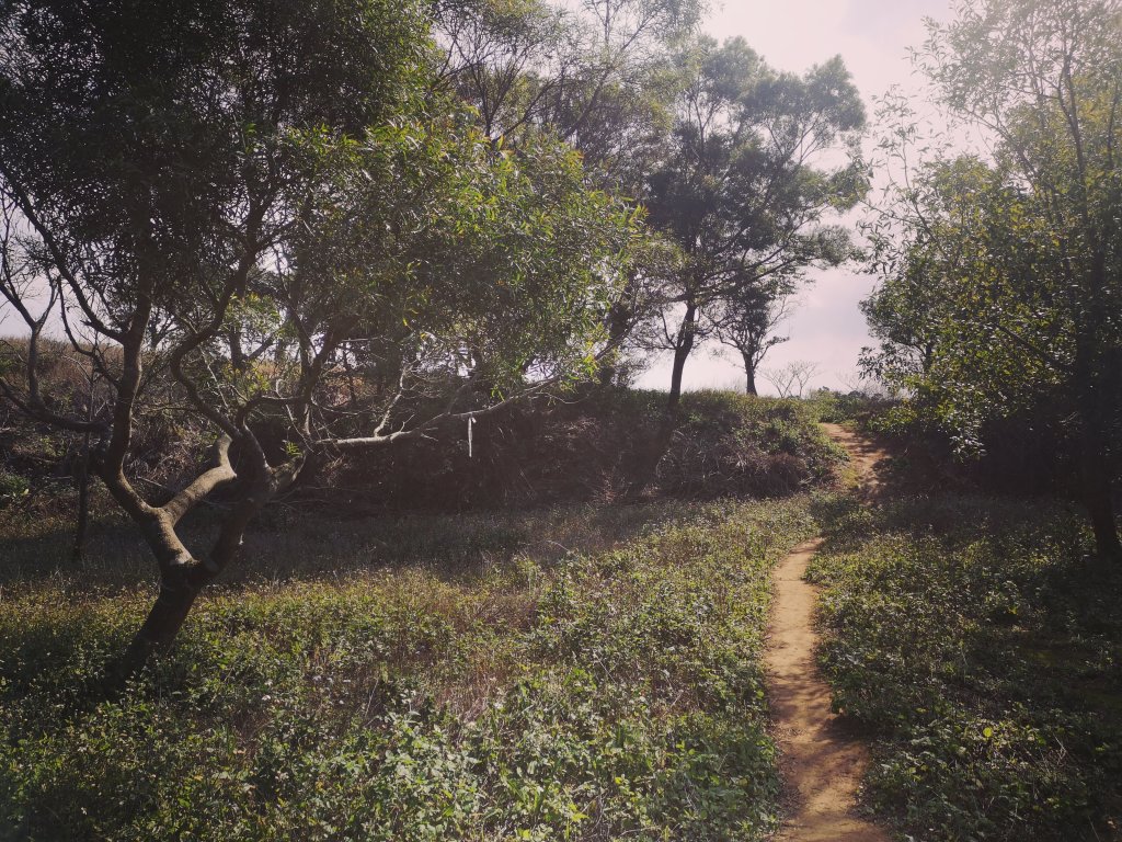 我從福人步道走去大北坑吃好料_818623