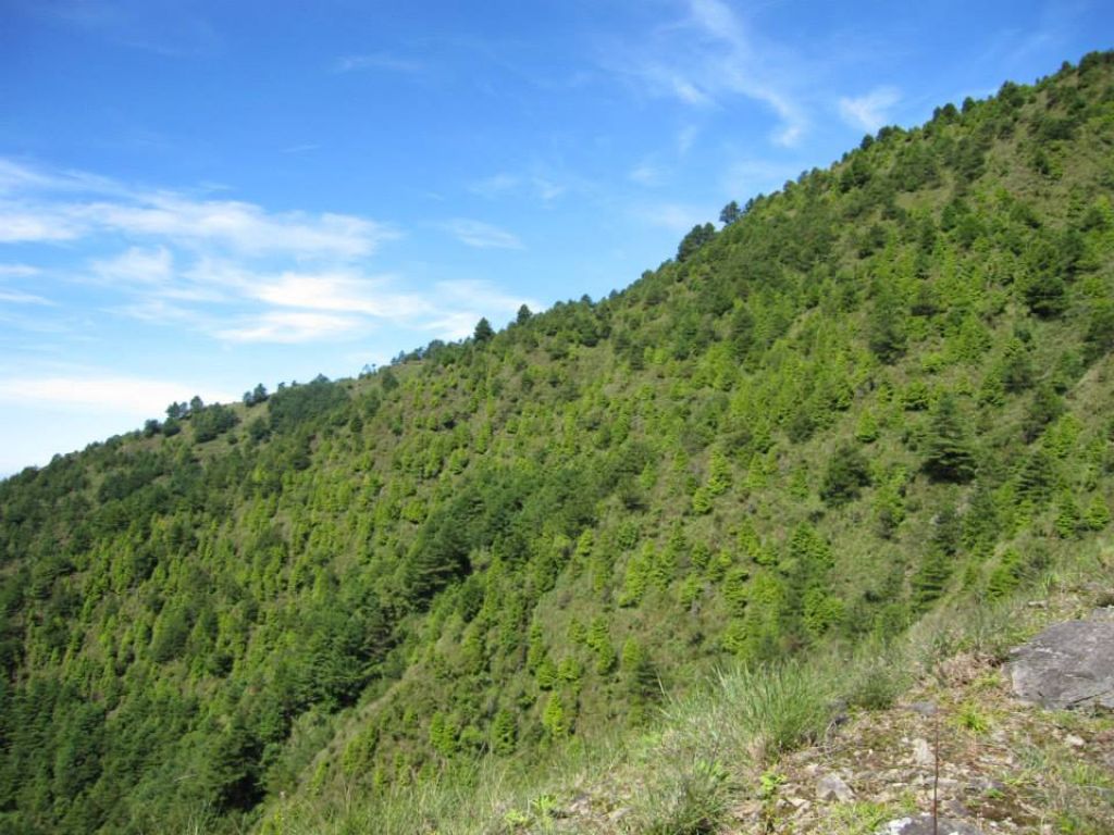 麟趾山-鹿林山_290208