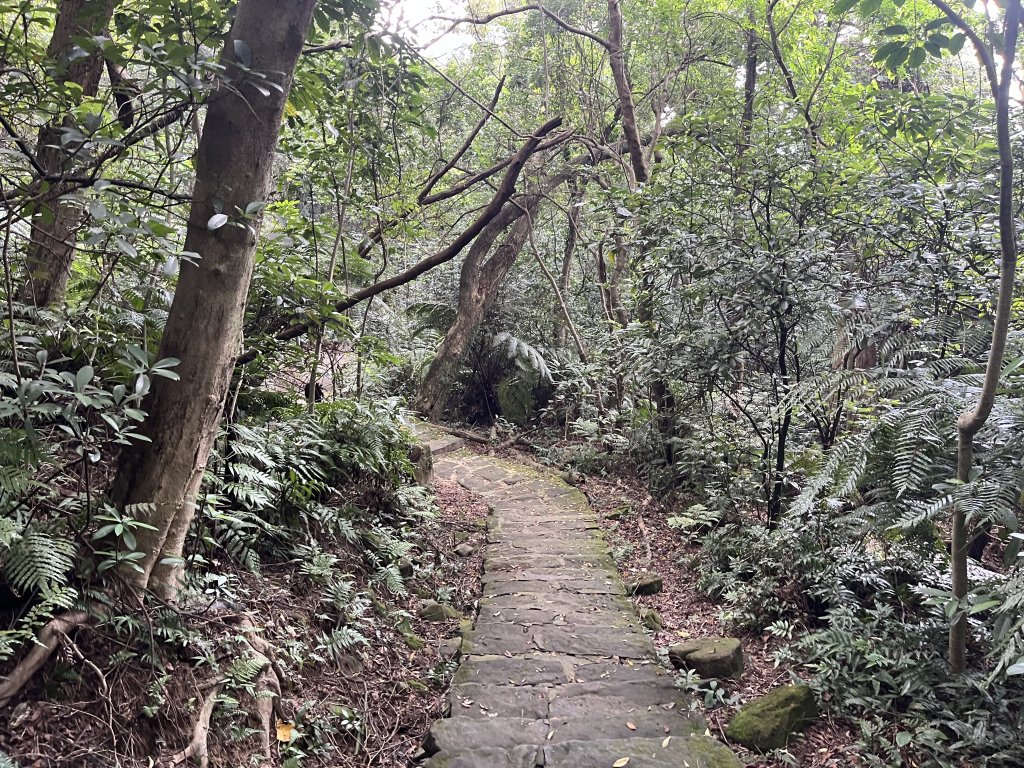 2024_0804 文間山_2566384