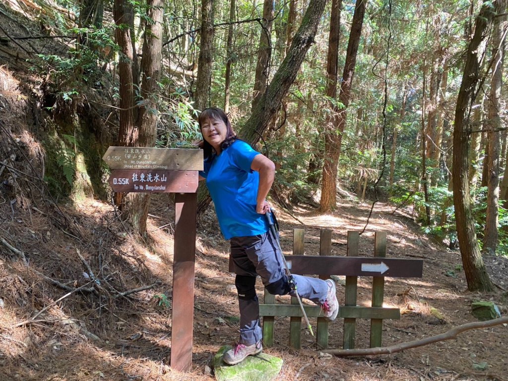 雪見遊憩區之司馬限林道丶東洗水山西南峰丶東洗水山、北坑山_1973255