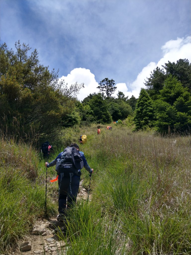 武陵四秀_1024452