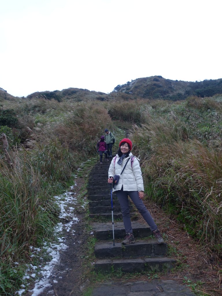 獨自勇敢。陽明山追雪成功_1233771