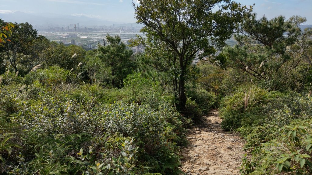 中和禪寺嘉章活佛寶塔丹鳳山軍艦岩_1172374