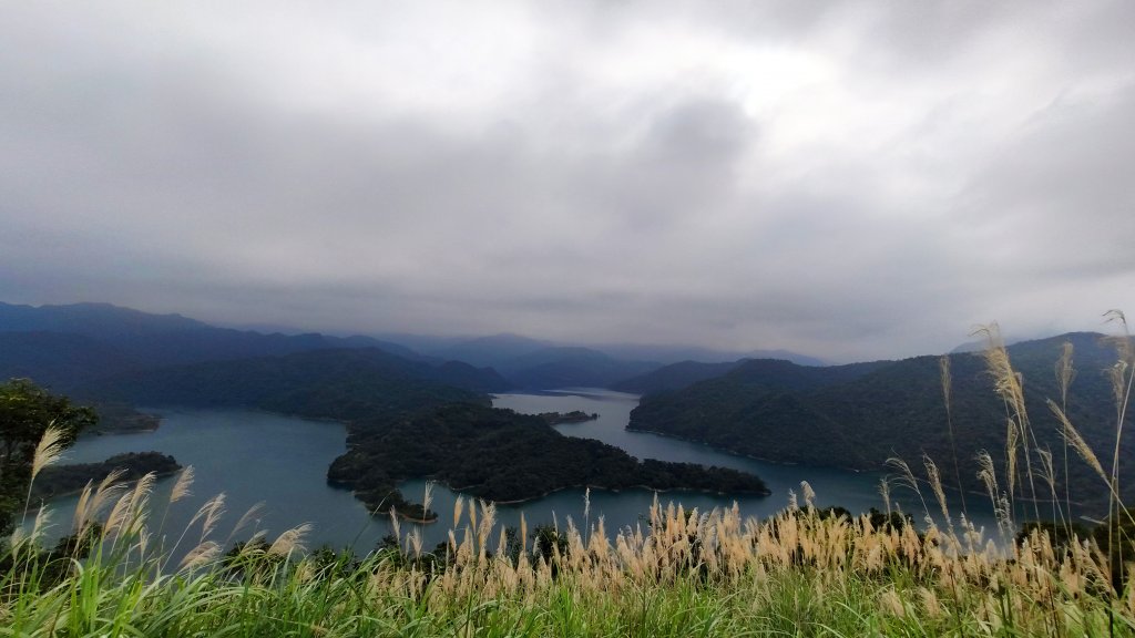 鱷魚島之旅_813287