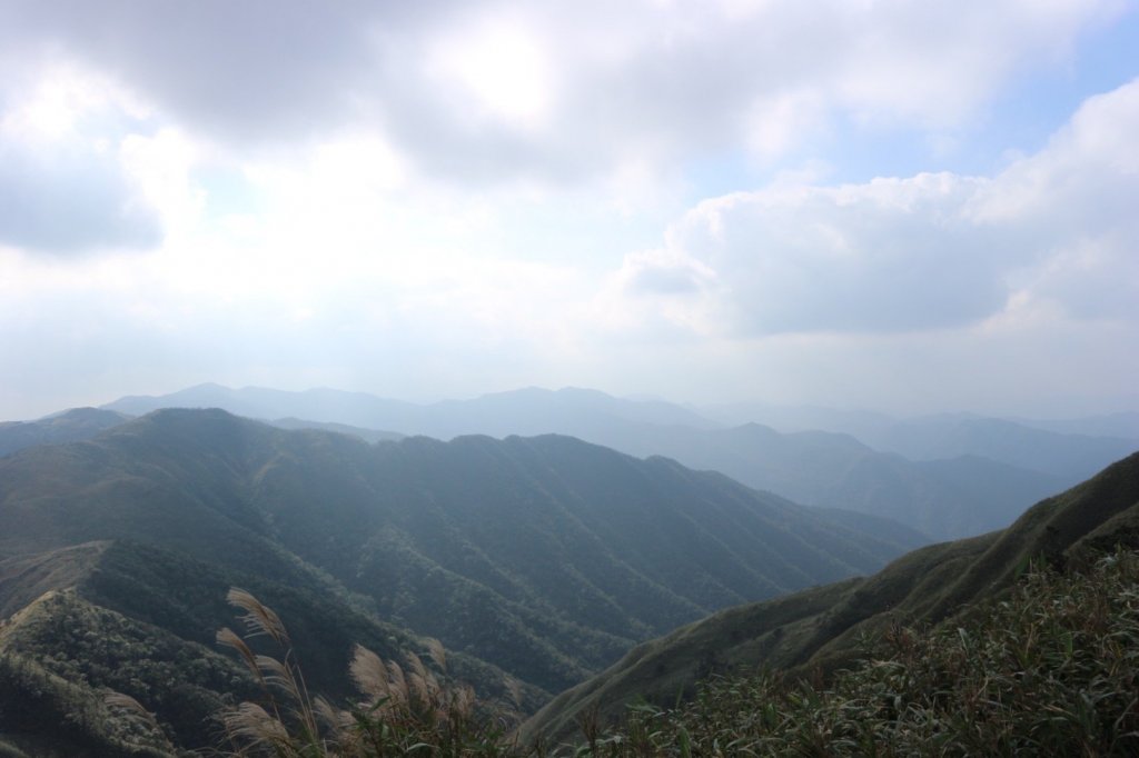 抹茶山上有草莓_447965